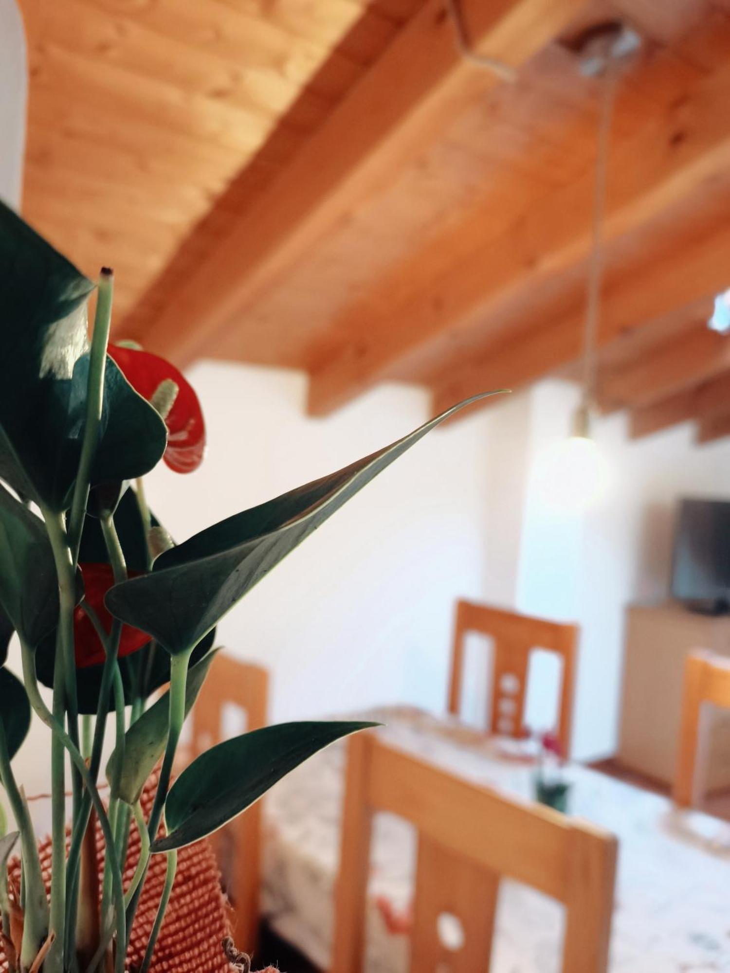 Casa Rural Parada Real Garganta la Olla Ngoại thất bức ảnh